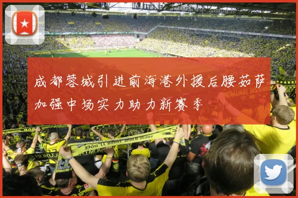 成都蓉城引进前海港外援后腰茹萨加强中场实力助力新赛季